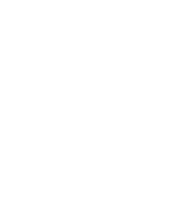 Minz Property House Icon